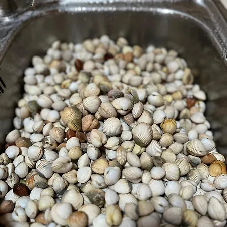 ヴィラ Beachfront With Private Access, Ocean Views, Pool, *