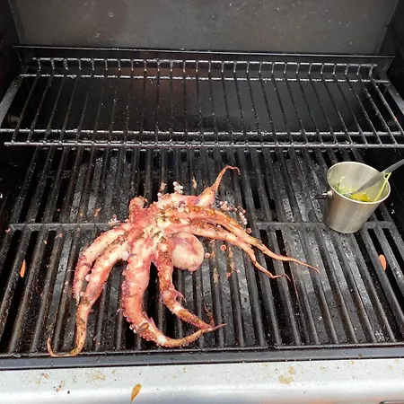 ヴィラ Beachfront With Private Access, Ocean Views, Pool, Casal do Narcizo